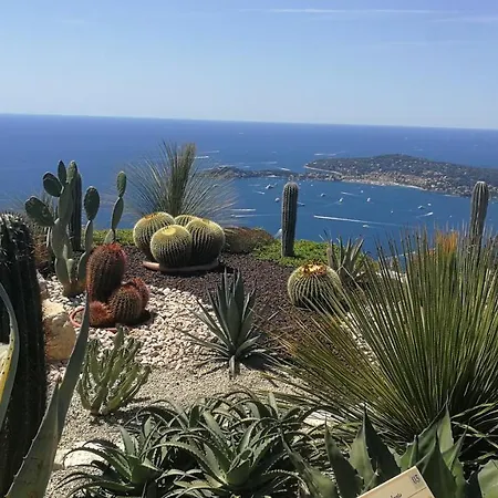 Etoile D'azur T2, Dans Une Avec Piscine. Frejus